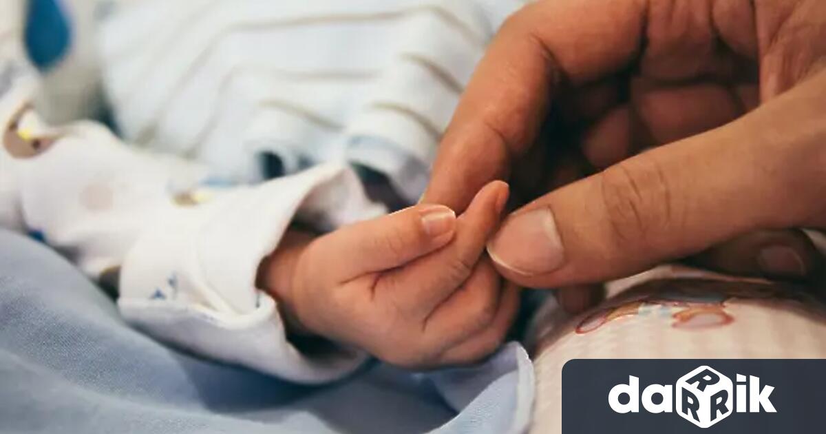 Под надзора на Окръжна прокуратура – Пловдив се извършва разследване