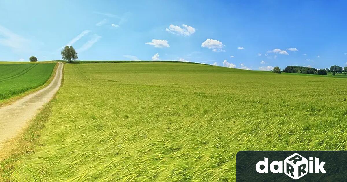 Държавата от 15 години говори че секторите Плодове и зеленчуци