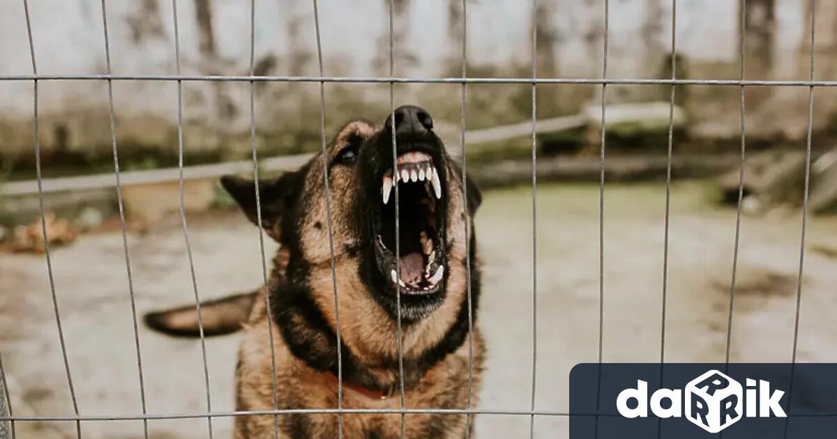 4 годишно момиче е починало след като било ухапано от