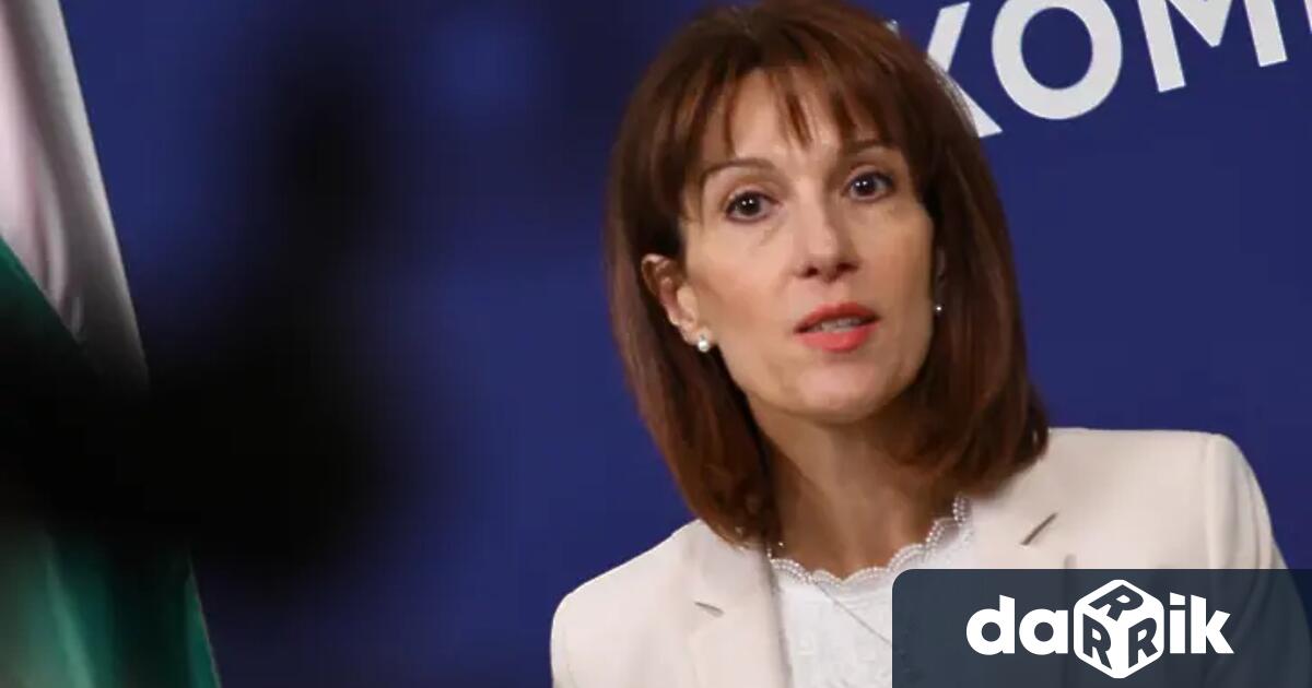 Бившият председател на Централната избирателна комисия ЦИК Камелия Нейкова е