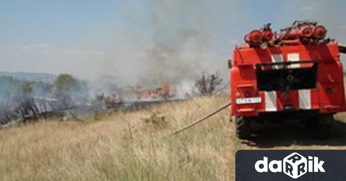 Пожар изпепели 60 дка ечемик край село Въбел огнеборци спасиха