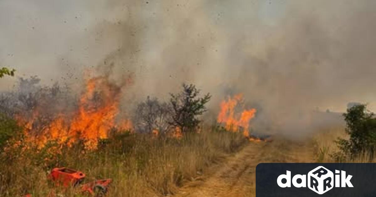 Пожар е избухнал в лозови масиви на изхода на Асеновград