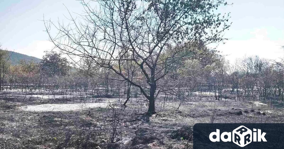 Пожарът в района на Баритна мина край Стара Загора е