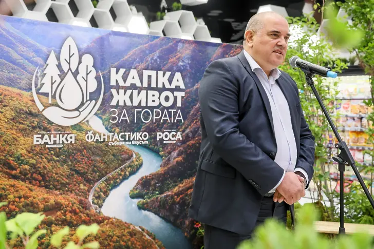 „Капка живот за гората“: Залесяват 25 декара опожарена гора в Пирин с близо 12 000 фиданки