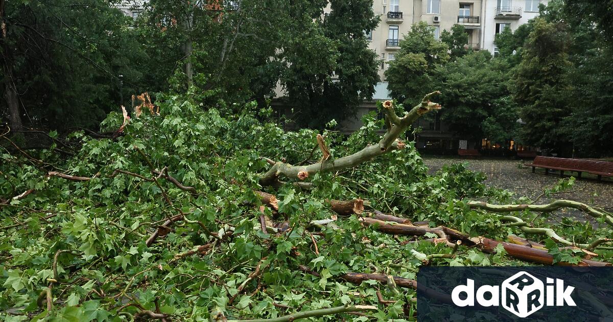 На 210 сигнала свързани с метеорологичната обстановка в страната са