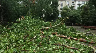Пожарната е реагирала на 210 сигнала, свързани с бурите през изминалото денонощие