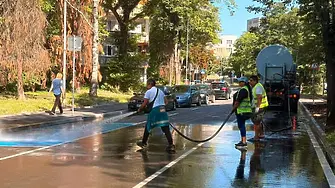 Продължава поддръжката на зелените площи във Враца