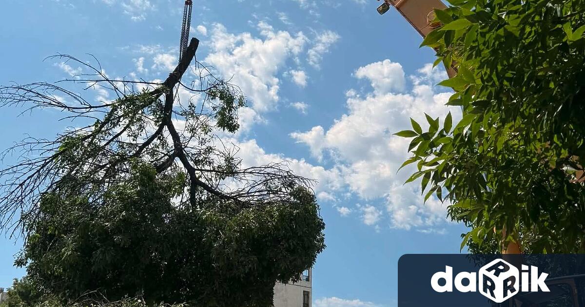 Нови 277 сигнала са постъпили след 5 30 часа тази