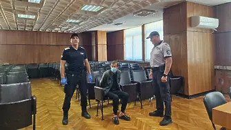 Румънският шофьор, предложил подкуп на полицаи в Чепеларе, получава условна присъда