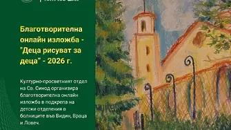 Благотворителна онлайн изложба събира средства за  детските отделения в болниците на Враца, Видин и Ловеч