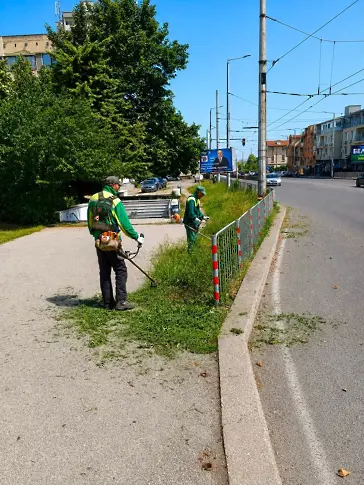 Продължава поддържането на зелените площи и градската среда във Враца