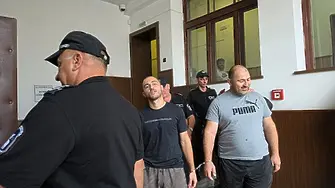 Бащата и синът с наркооранжерията край Пловдив остават в затвора
