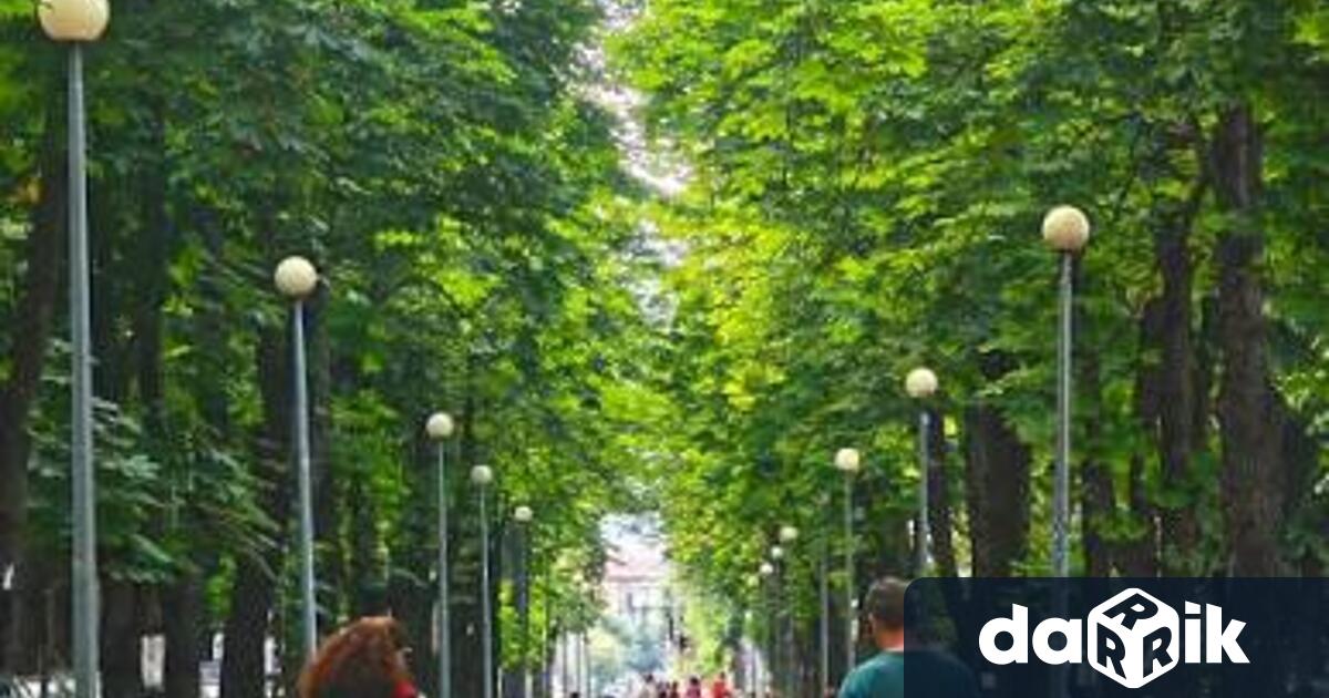 Обновено зелено пространство Нека заедно да го създадем с тези