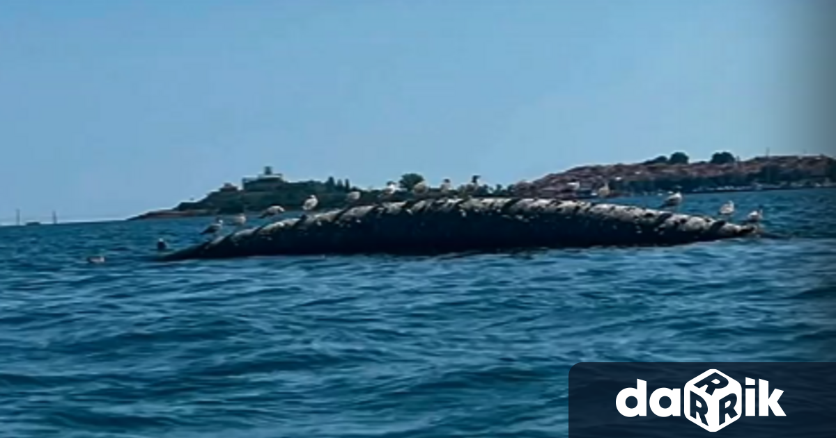 Сигнал за тръба която се издига над морската повърхност в