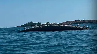 Тръба се скъса и изплува на 500 метра в морето край Созопол