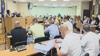 Промениха Наредба № 6 за придобиване, притежаване и отглеждане на кучета в община Плевен с цел по-ефективен контрол върху популацията на безстопанствените кучета