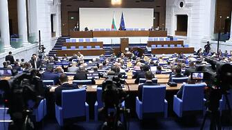 9 вида кафе, 4 вида чай и ядки за депутатите: Парламентът обяви обществена поръчка за над 103 000 евро
