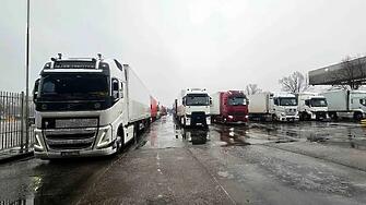 Започват масови проверки на вноса на плодове и зеленчуци