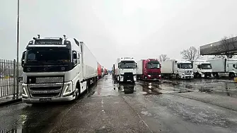Започват масови проверки на вноса на плодове и зеленчуци