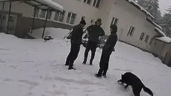 Близките на загиналите започнаха да разчистват хижа „Петрохан“