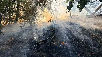 1300 декара е обхванал пожарът край тополовградското село Българска поляна