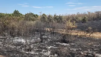Овладян е пожарът, който обхвана 1600 декара гори край боляровското село Камен връх