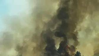 Пожарът между Първомай и с. Брягово е локализиран