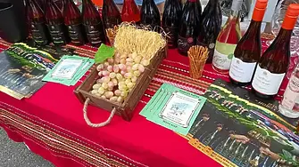 Броени дни до четвъртото издание на „Time for Wine“ в Плевен