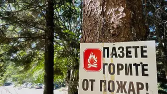Три горски пожара на територията на ЮИДП за седмица