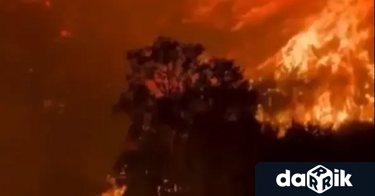 Photo: darik.bg Major Wildfire in Halkidiki Forces Tourist Evacuations and Road Closures