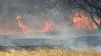 Два пожара горят в област Хасково
