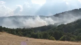 Продължава борбата с пожара край Бобошево