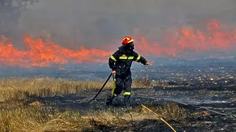 Голям пожар лумна край Враца, огнеборци спасяват къщи и вили
