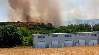 Голям пожар гори край Асеновград 