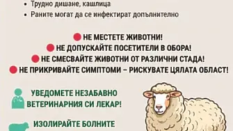 В Нова Загора предприемат превантивни мерки срещу шарка по овцете и козите