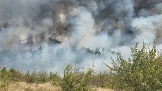 Пожари превзаеха близо 2000 декара гори на територията на ДГС – Враца