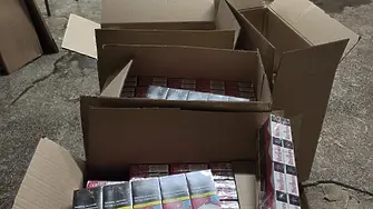 Спецакция край Враца разкри нелегална база за производство на цигари в изоставена кариера