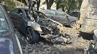 Пет коли изгоряха при пожар в Пловдив (СНИМКA)