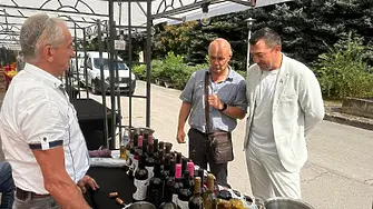 Зам.-министър Янчев: Предстои допълнителна подкрепа за лозарския сектор