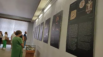 До края на септември в РИМ-Плевен: Изложба „По следите на кучето в Древна Тракия“