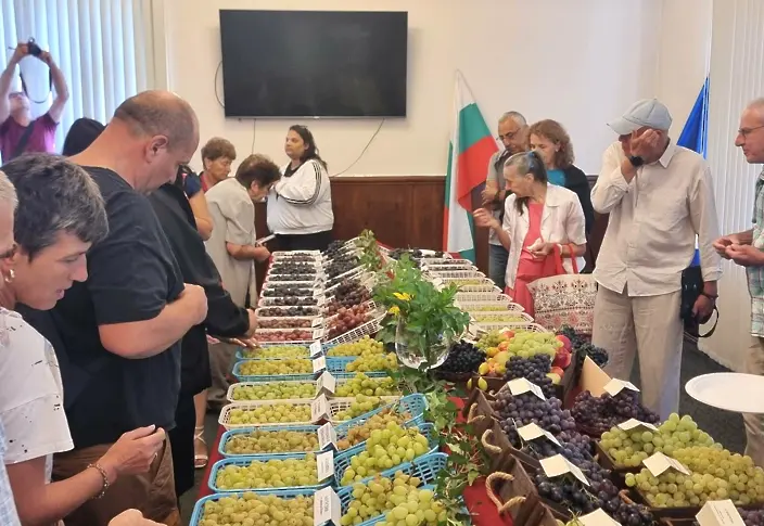 С открит ден, посветен на мискетовите сортове, започна четвъртото издание на Фестивала на виното и фермерските деликатеси „Time for Wine“ в Плевен
