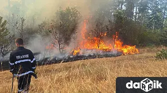 Огнеборци от Монтанско гасиха над 600 декара пожари за денонощие