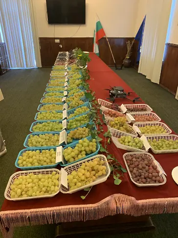 Директорът на ИЛВ-Плевен: Тази година очакваме добра реколта! 