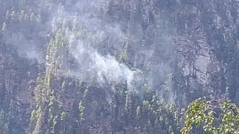 Пожар пламна в района на Рилската света обител 