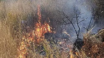 Пожар край езерото в столичния квартал „Дружба”