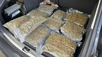 Задържаха 17-годишен за разпространение на марихуана в София