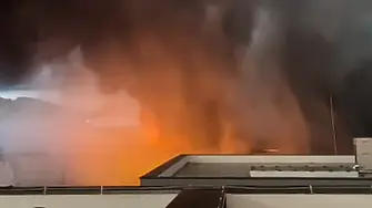 Пожар избухна във фабрика за бои и лакове в Хърватия (ВИДЕО) 