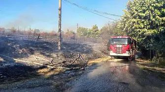 Втори пожар пламна в Габрово, огънят обхвана горски масив (СНИМКИ)