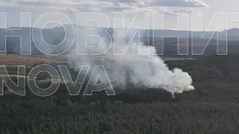 Голям пожар пламна в борова гора край язовир „Копринка”