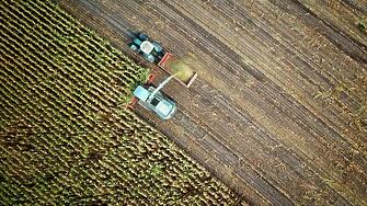 Разходите на българските земеделци скочиха с над 8%, продукцията поевтинява